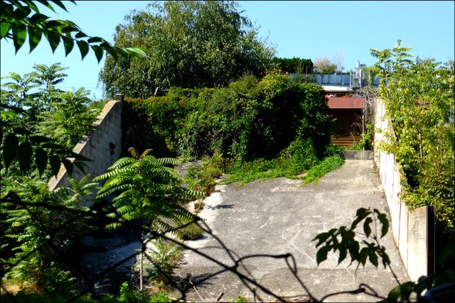 Die Natur erobert die ehemaligen Kohlenrutschen zurück