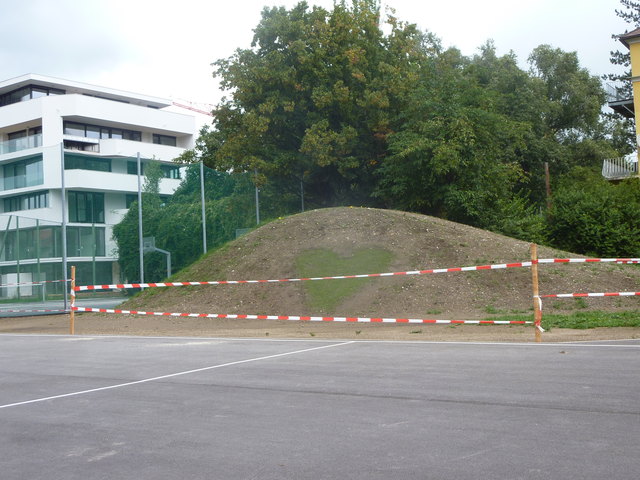 So viel Schutz für ein Herz ?