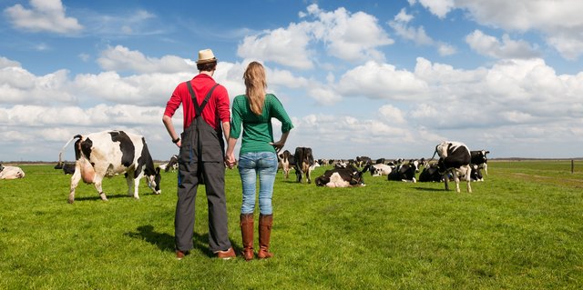 Der Traum von Wiese, Kuh und Partner: 200 Menschen aus Graz und Umgebung sind auf einer neuen Singlebörse für Landwirte. | Foto: Flirt.Landwirt