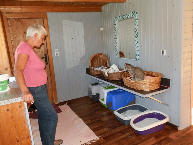 Im Assisi-Hof II wurde kürzlich ein neues Katzenhaus gebaut, das über 50 Katzen eine geschützte Schlafmöglichkeit bietet. | Foto: Österreichischer Tierschutzverein