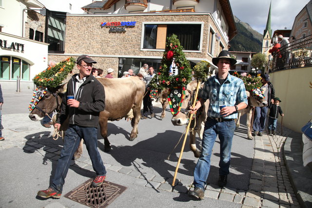 Am 21. September findet in Ischgl der traditionelle Almabtrieb statt. | Foto: TVB Paznaun-Ischgl
