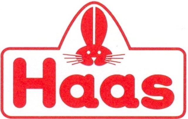 Foto: Haas