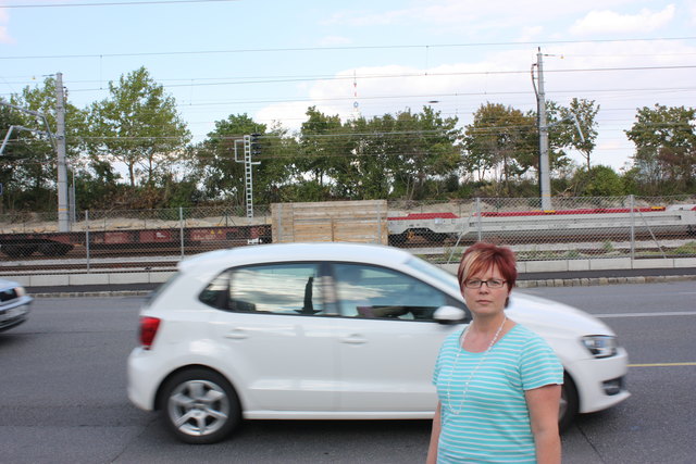 Einen Steinwurf entfernt und doch so weit weg: Anrainerin Karin Pichler wartet auf den Holubsteg. | Foto: Christine Bazalka