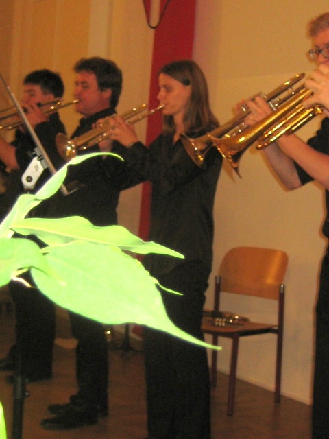 Die hervorragende Bläsergruppe beim Spiel