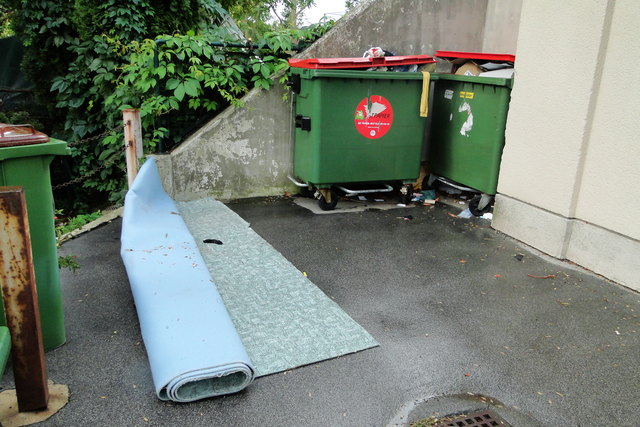 DIE REALITÄT welche durch manche Mitbewohner von Wiener Wohnen hervorgerufen werden.