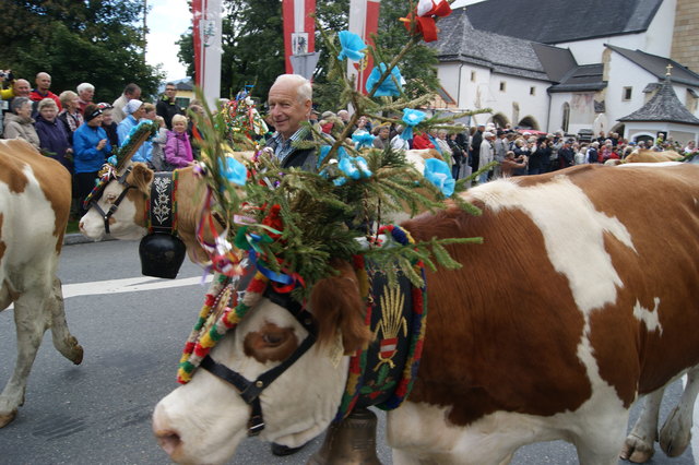 Begeistert waren die vielen BesucherInnen welche die Straßen von Altenmarkt säumten