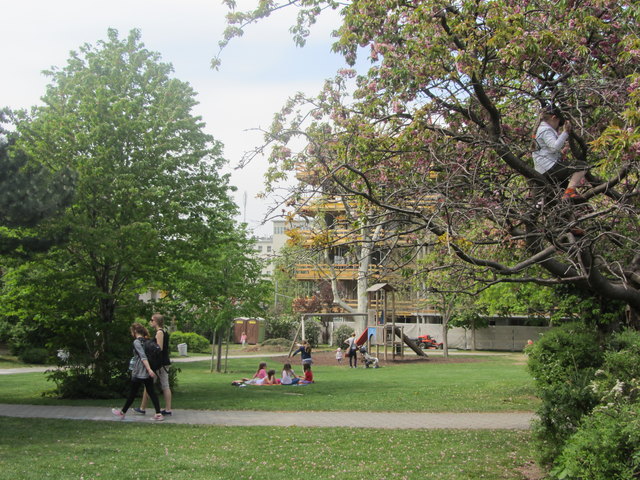 Nicht mehr der ganze Anton-Benya-Park ist für die Öffentlichkeit zugänglich. Der Großteil bleibt aber offen.