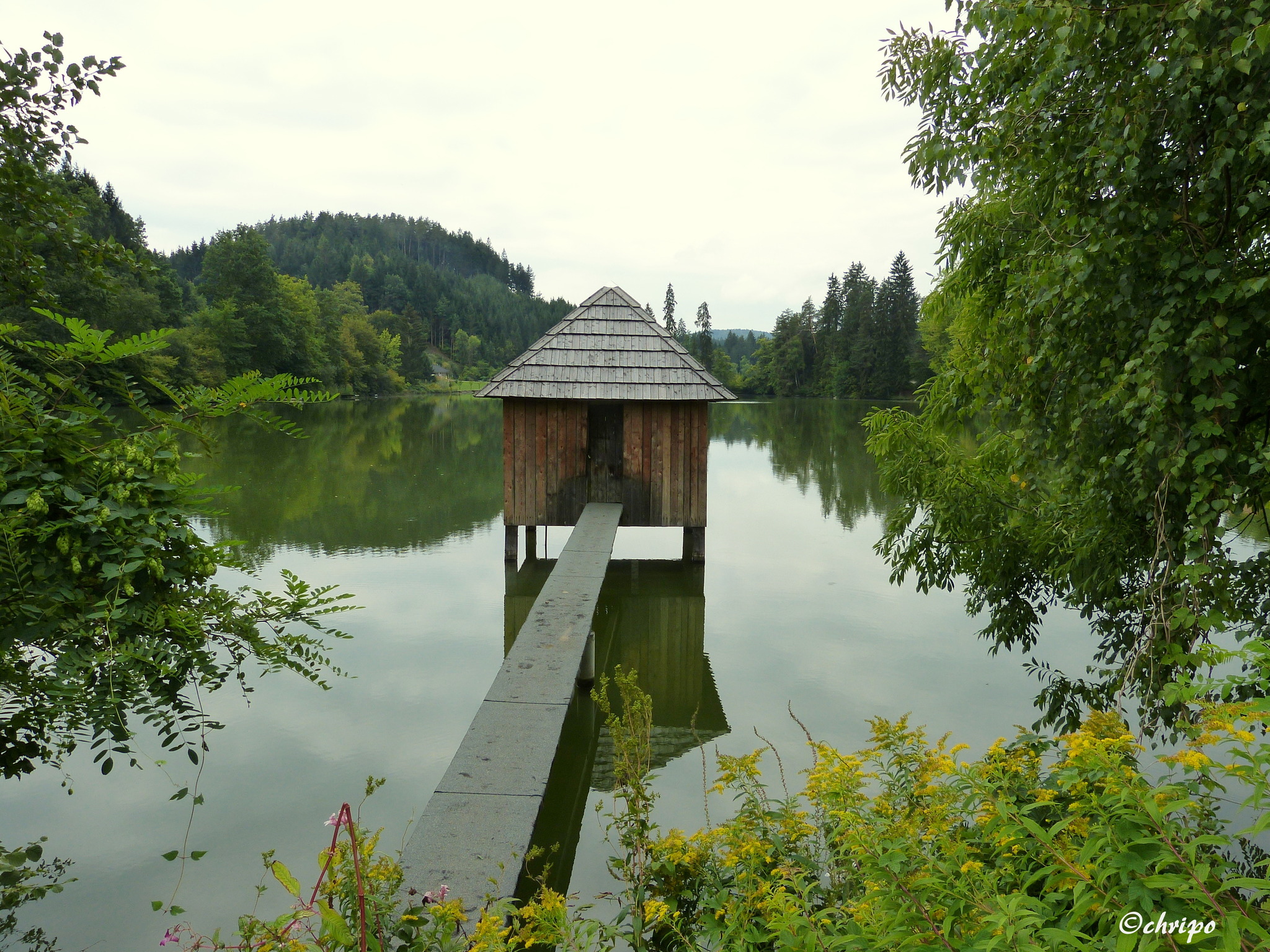Moosburger Teiche Ottakring