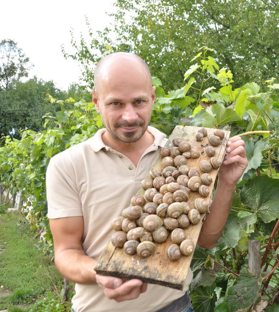 Andreas Gugumuck der Schneckenkönig aus Favoriten