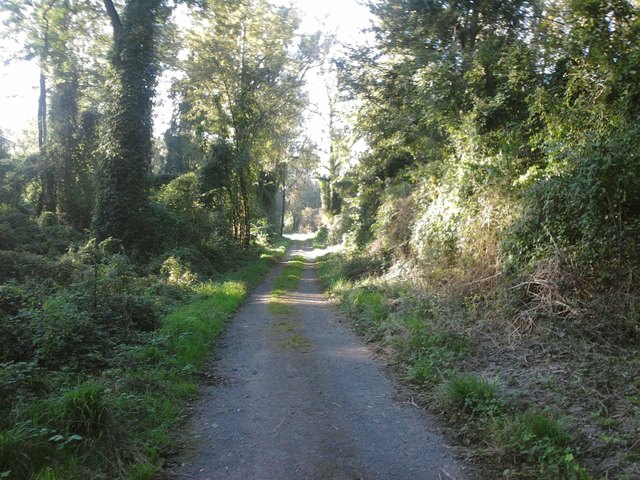 Get Der weg ist das ziel konfuzius For Android Der Weg Ist Das Ziel Konfuzius