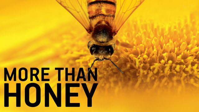 More Than Honey Online Stream Deutsch