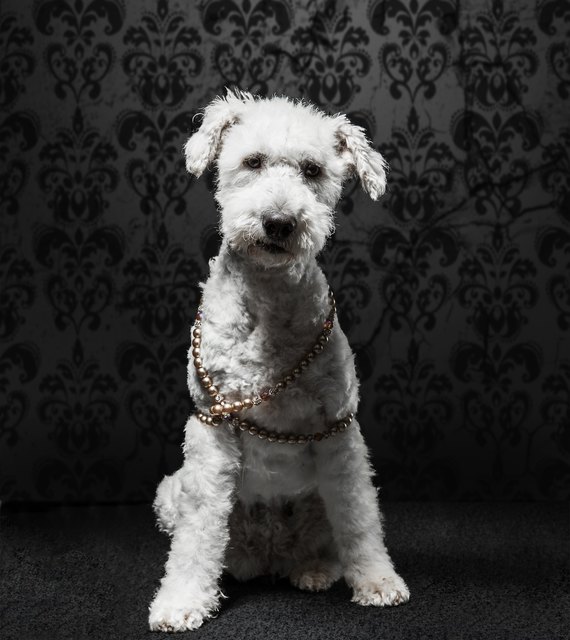 Miss Februar: Model Mimi fand das Shooting so entspannend, dass sie während der Aufnahmen immer wieder einschlief. | Foto: Christian Anderl