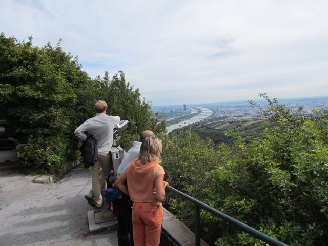 Bäume und Gebüsch statt Aussicht, aber die Burg bleibt weiter für Besucher gesperrt | Foto: Gerhard Krause