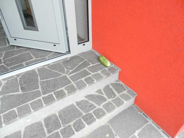 So finden wir uns regelmäßig von Früchten aus den nachbarschaftlichem Garten beschenkt
