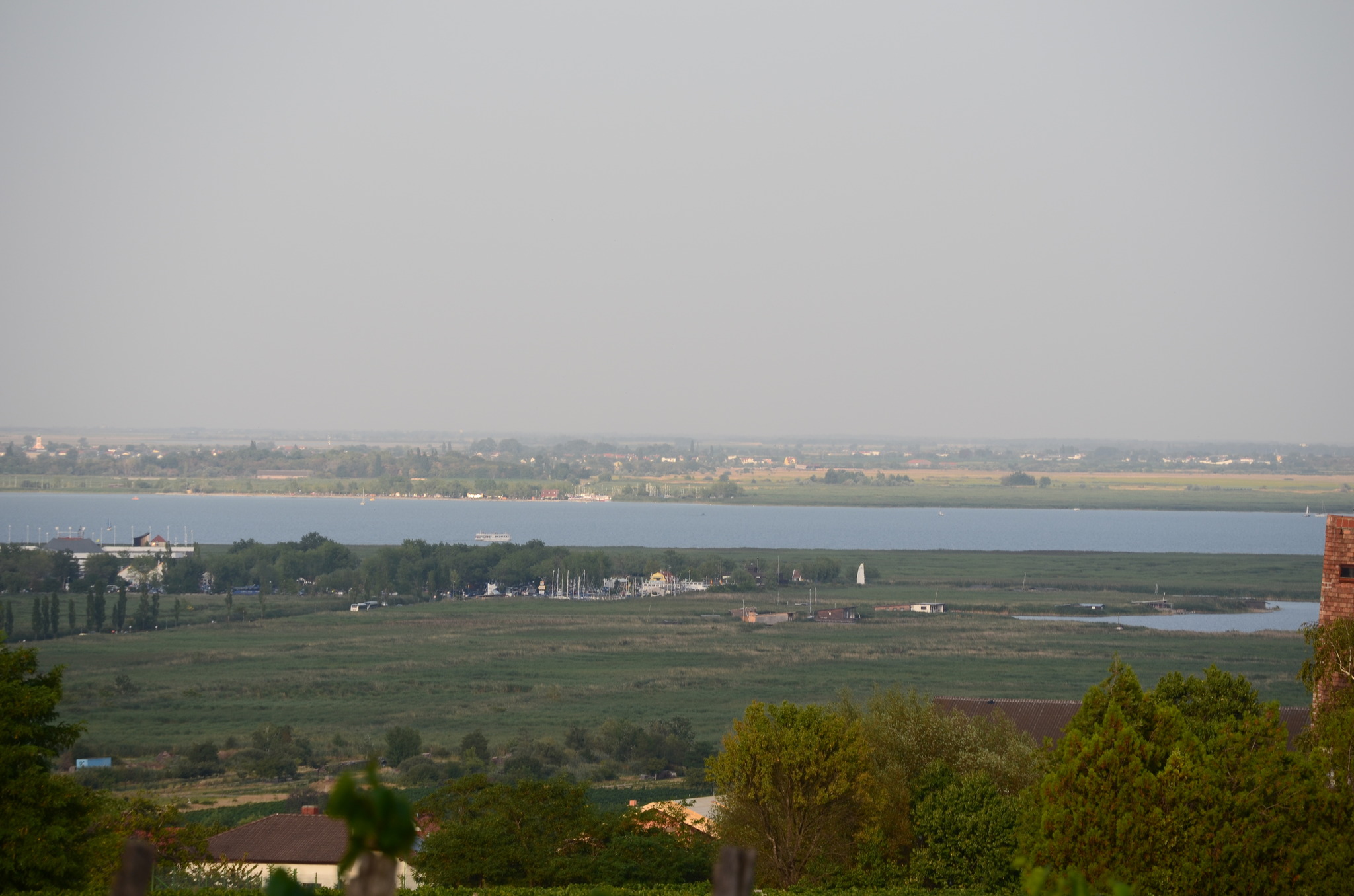 Willkommen am einzigen Steppensee Österreichs, dem Neusiedler See