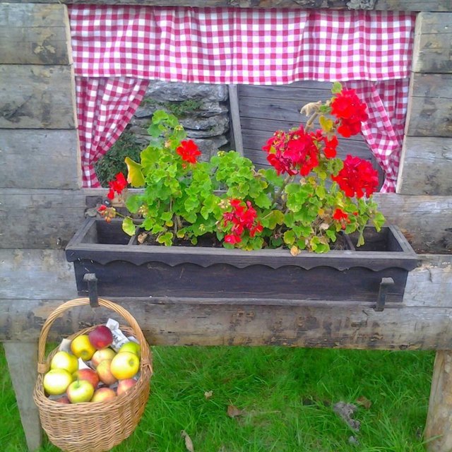 Apfelfest Kirchbach im Gailtal