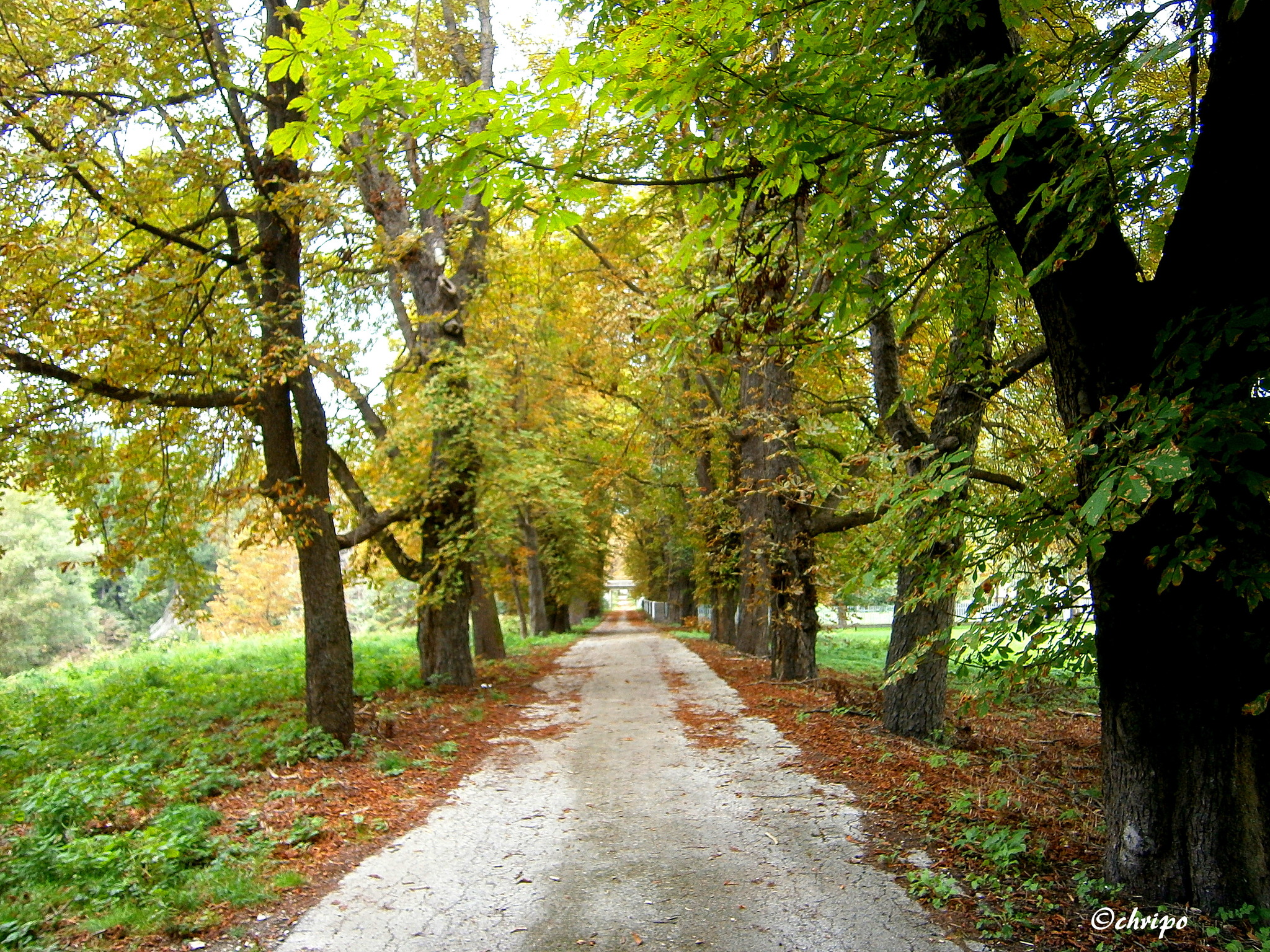 SCHLOSS FEISTRITZ AN DER MÜRZ Ottakring