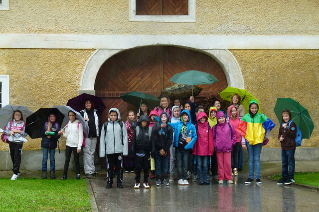 Trotz Regenwetter hielt die NMS GTS Ennsleite bei der Wildkräuterwanderung durch und erlebte einen spannenden Bauernhoftag auf der Singing Farm.