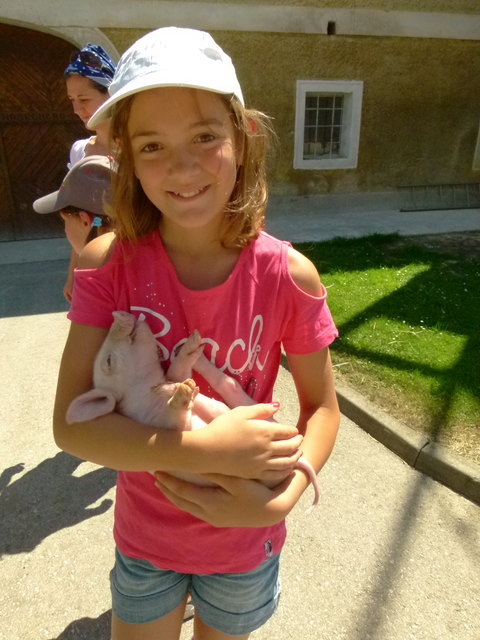 Elisabeth aus Rohr hat mit dem niedlichen Babyferkel Freundschaft geschlossen.