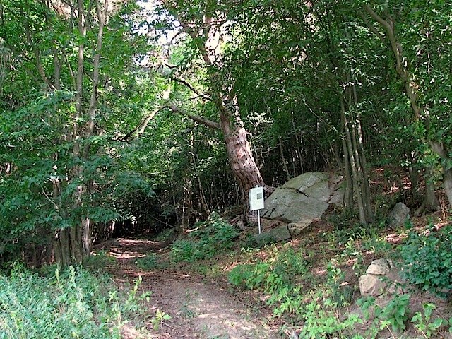 Dobra-Gneis