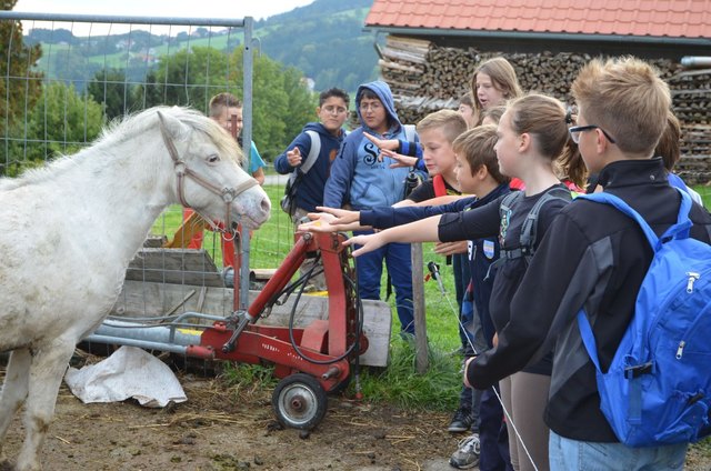 Ein Pony begrüßt uns freundlich.