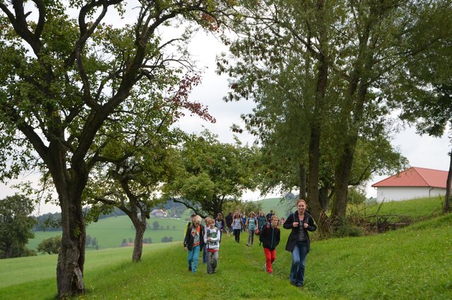 Wanderung über Wiesenwege