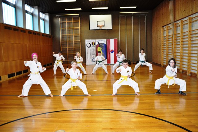 Rund 30 Kinder erlernen in St. Kanzian das traditionelle Teakwon-Do | Foto: KK