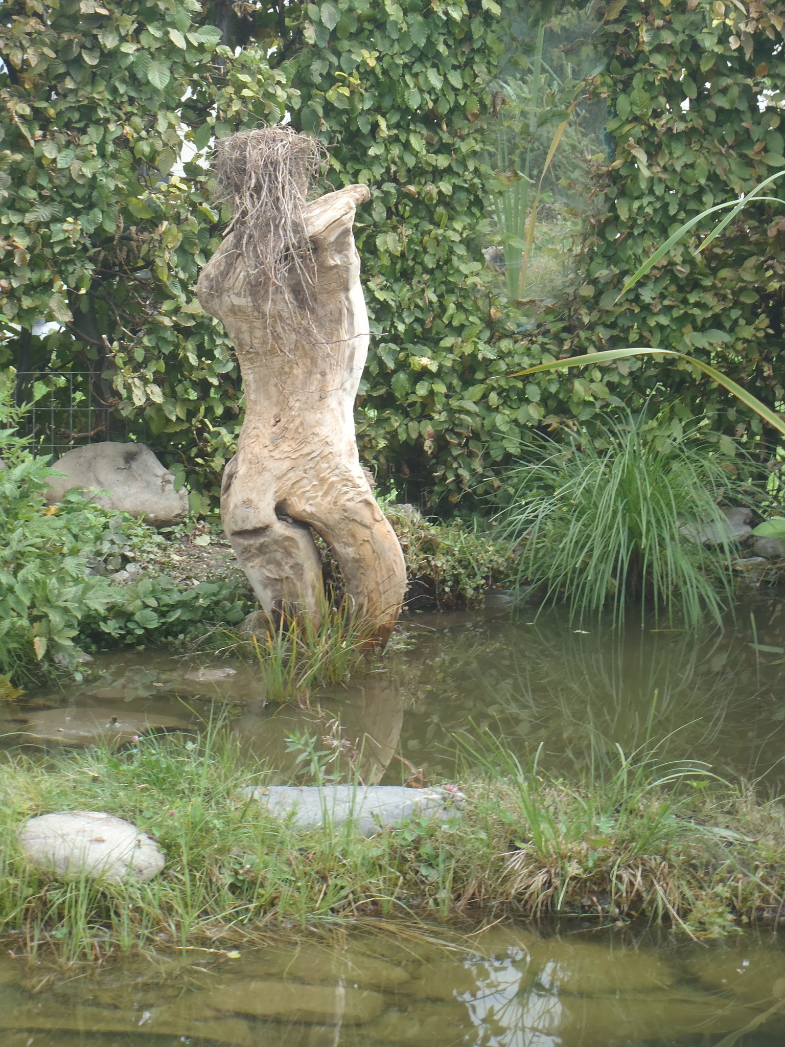 Badenixe am Teich Pinzgau