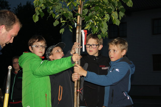 Baumpflanzung bei der Mittelschule