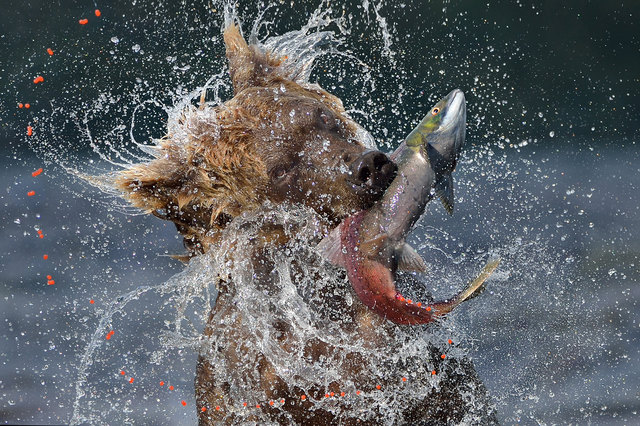 Valter Bernardeschi_Italy_Kuril Lake 4 | Foto: Trierenberg