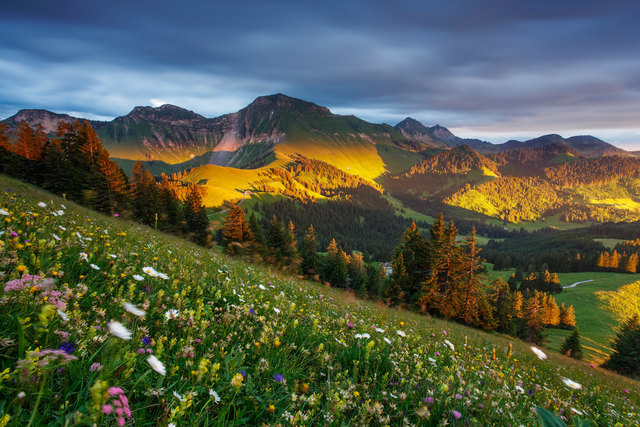 Samuel Bitton_Switzerland_Let there be light. | Foto: Trierenberg