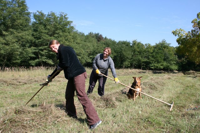 Heumahd per Hand pflegt das Sandfeld optimal, damit sich Pflanzen und Tiere besser entwickeln können. | Foto: Pfundner