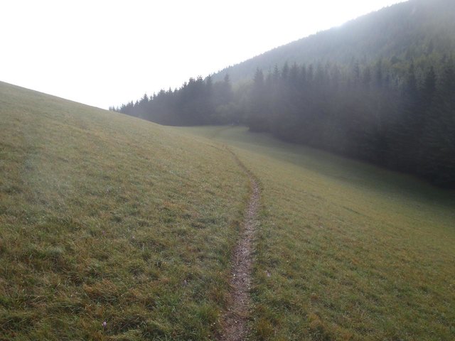 Die Kaisereben-Wiese, immer wieder ein Traum