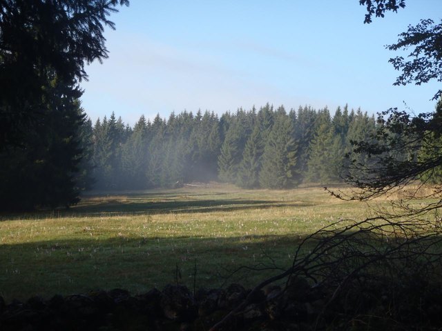Herbstzeitlosen-Wiese auf der Dürren Wand