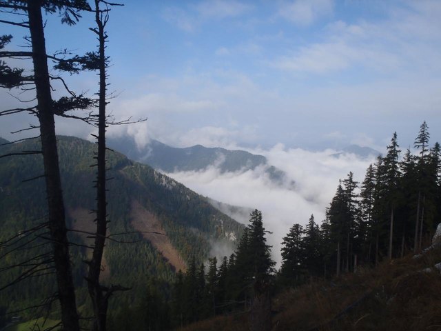 Blick in´s Tal Richtung Wegscheid