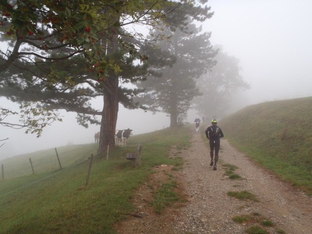Stille Beobachter am Weg zum Hutberg