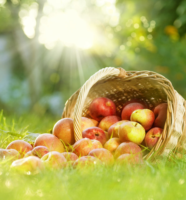 Foto: fotolia/Anna Subbotina