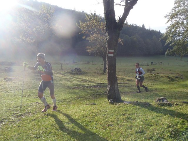 In der Morgensonne durch Blättertal
