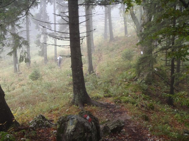 Läufer im Nebel