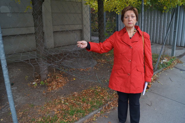 Der Müll ist beseitigt, der Zaun immer noch defekt. Bezirksvorsteherin Votava verspricht auch hier baldige Reperaturarbeiten.