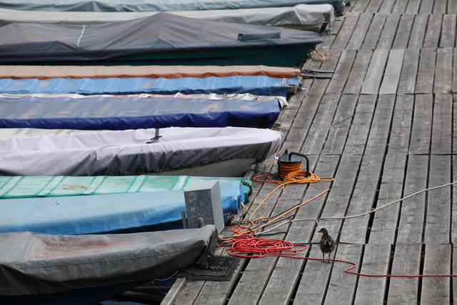 Obere Alte Donau: Die abgedeckten Boote an der Alten Donau geben ein schönes Farbspiel. | Foto: Pilz