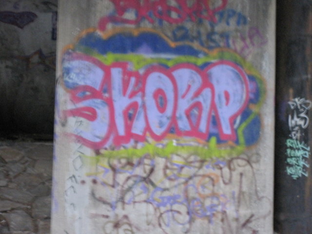 Das muss nicht sein: Graffiti an einem Brückenpfeiler ebendort.