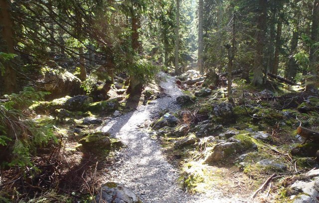 Traumpfad durch den Ork-Wald