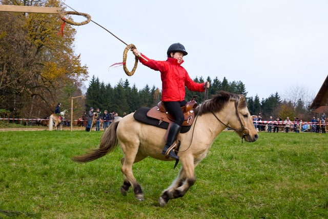 Die Pferdesegnung findet am Parkplatz beim Wirt statt. Anschließend Festzug, Mittagstisch und Reiterspiele. | Foto: Andreas Hagler