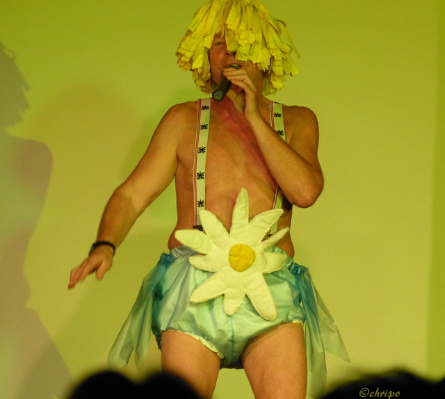 Hansi Windelseer