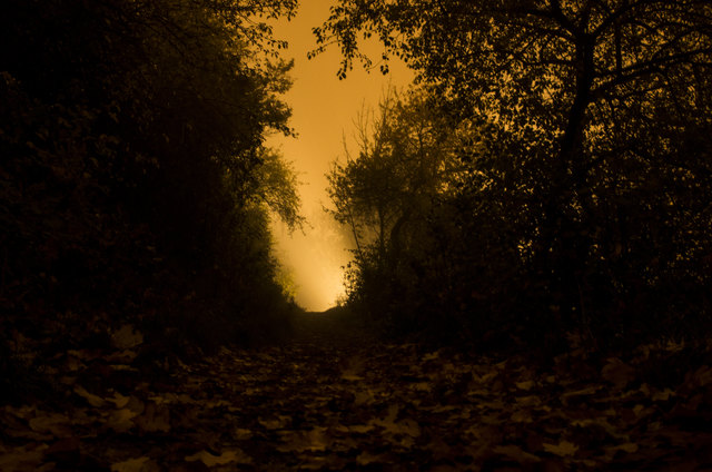 Verlockend erstrahlt ein mystisches Licht in der Ferne, einladend weist es den Weg darauf zu.