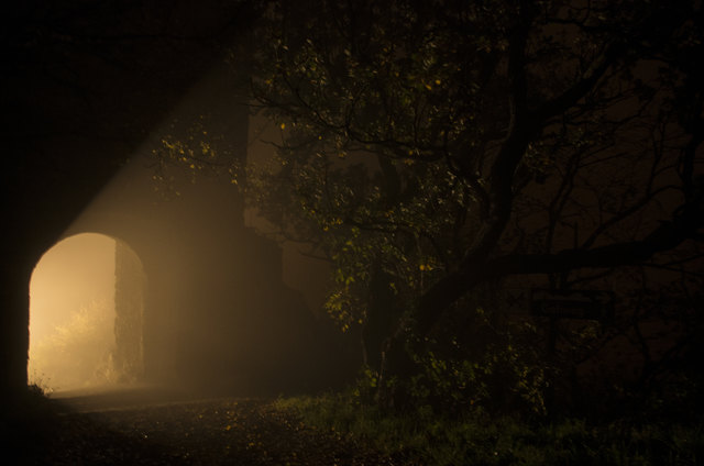 Magisch wirkt der Baum im Strahle des Lichtes das durch das Tor scheint