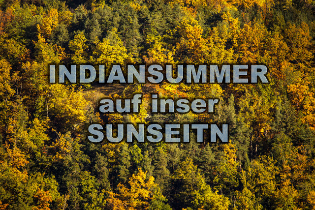 ... oder malerischer Herbst am Landecker Sonnenplateau, am 24.10.2013. © Ing. Günter Kramarcsik