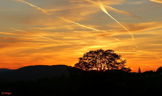 Platz 10: Dieser wunderschöne Sonnenuntergang im Herbst wurde von Christa Posch eingefangen.