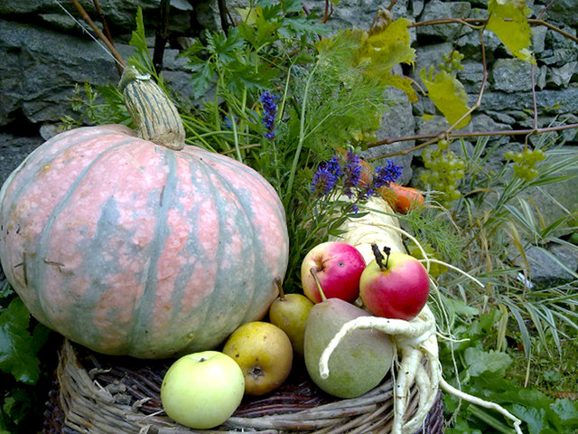 Einfach köstlich, einfach gesund – Gemüse und Obst der Saison. | Foto: AP